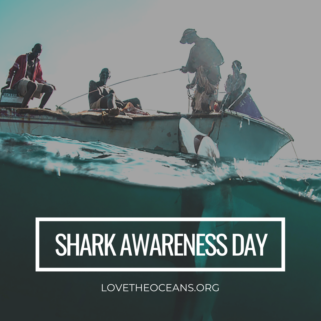 shark awareness day 2018